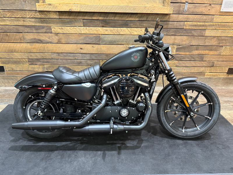 Iron 883®