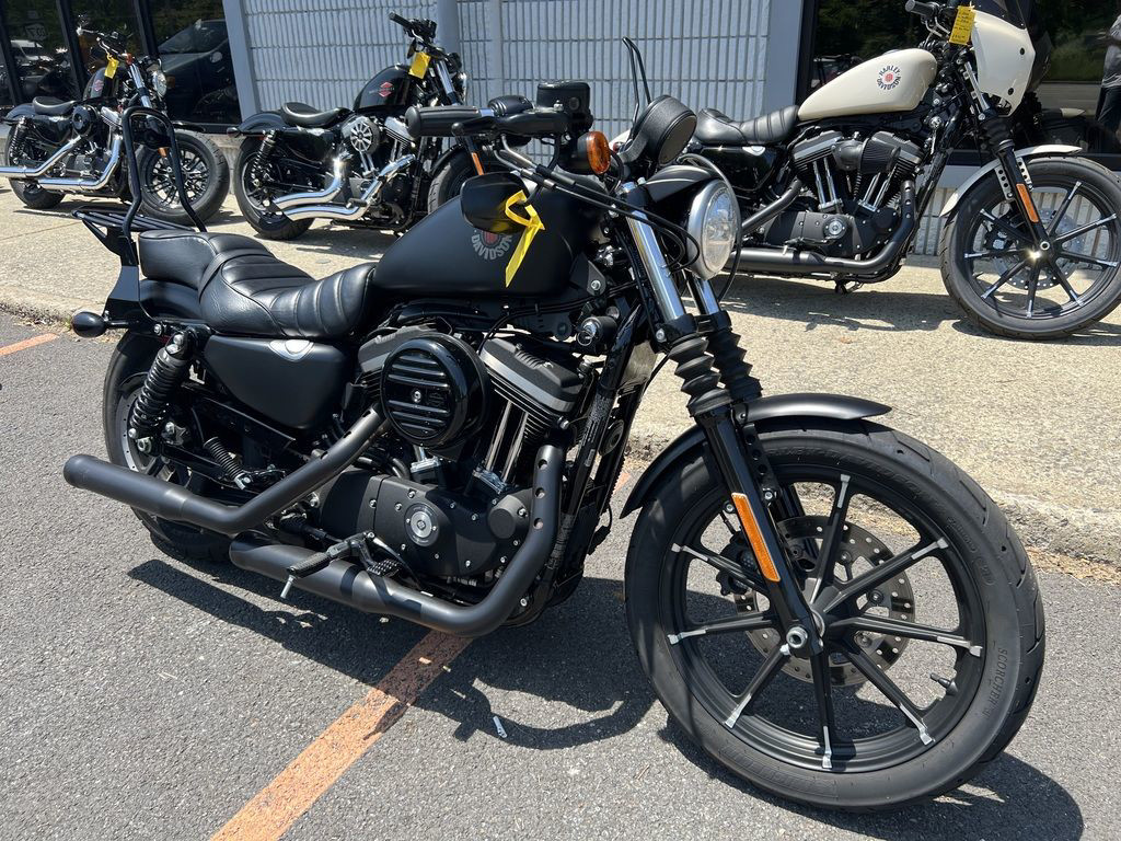 Iron 883®