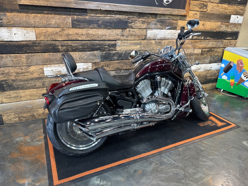 V-Rod® - Black Frame