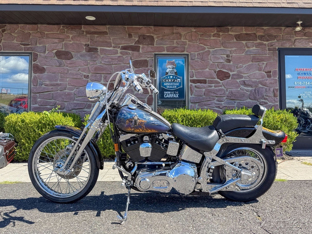 Springer® Softail®