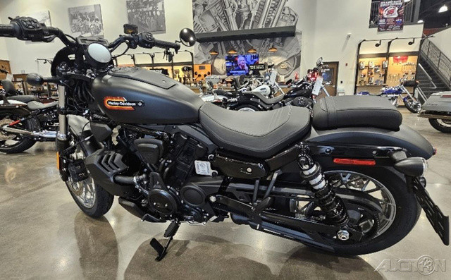 Nightster Special