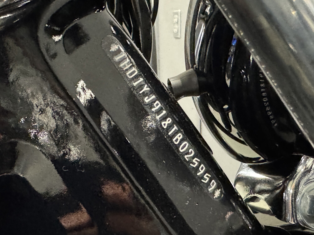 Street Bob®