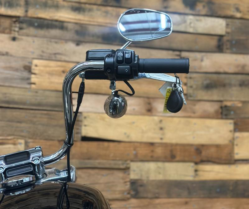 Softail® Standard