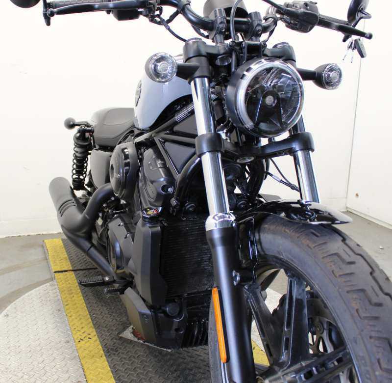 Nightster