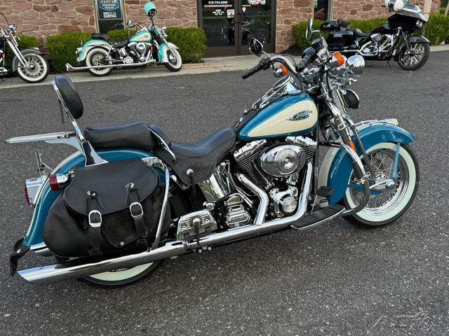 Springer® Softail®