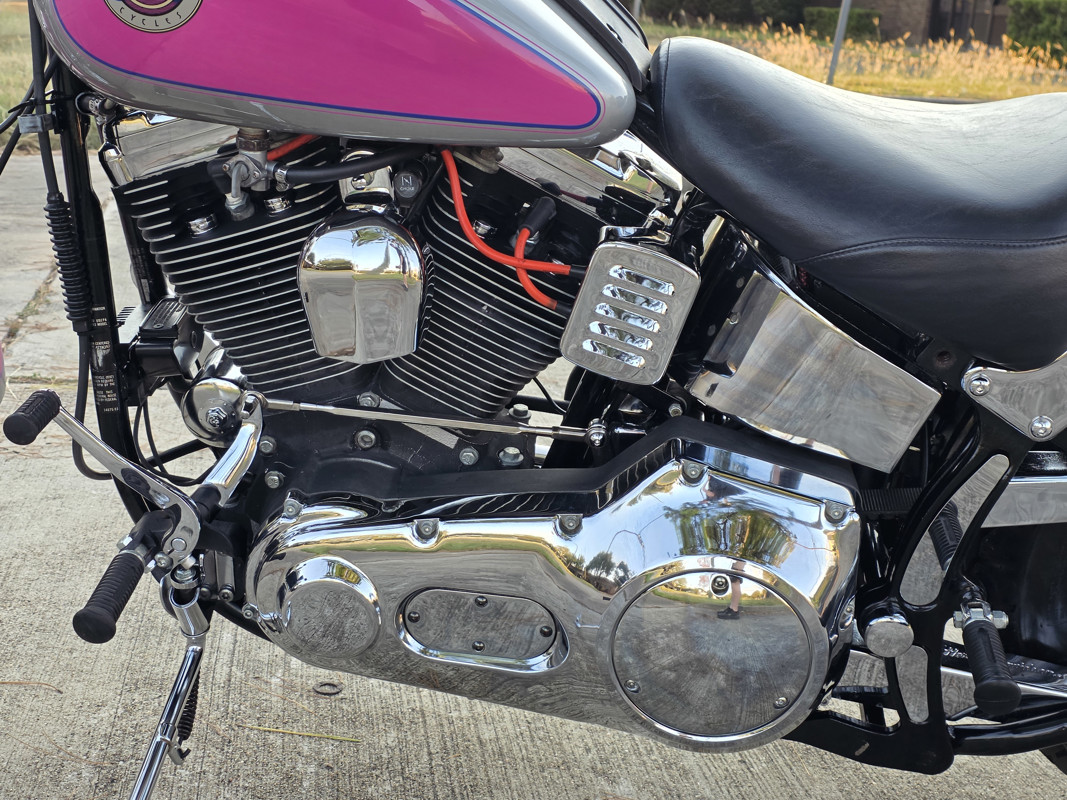 Springer® Softail®