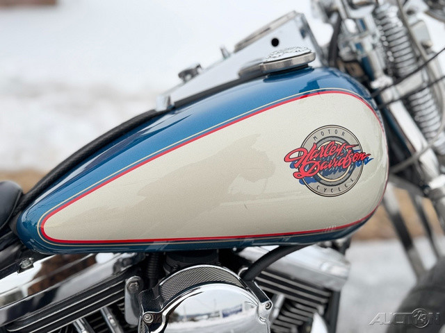 Springer® Softail®