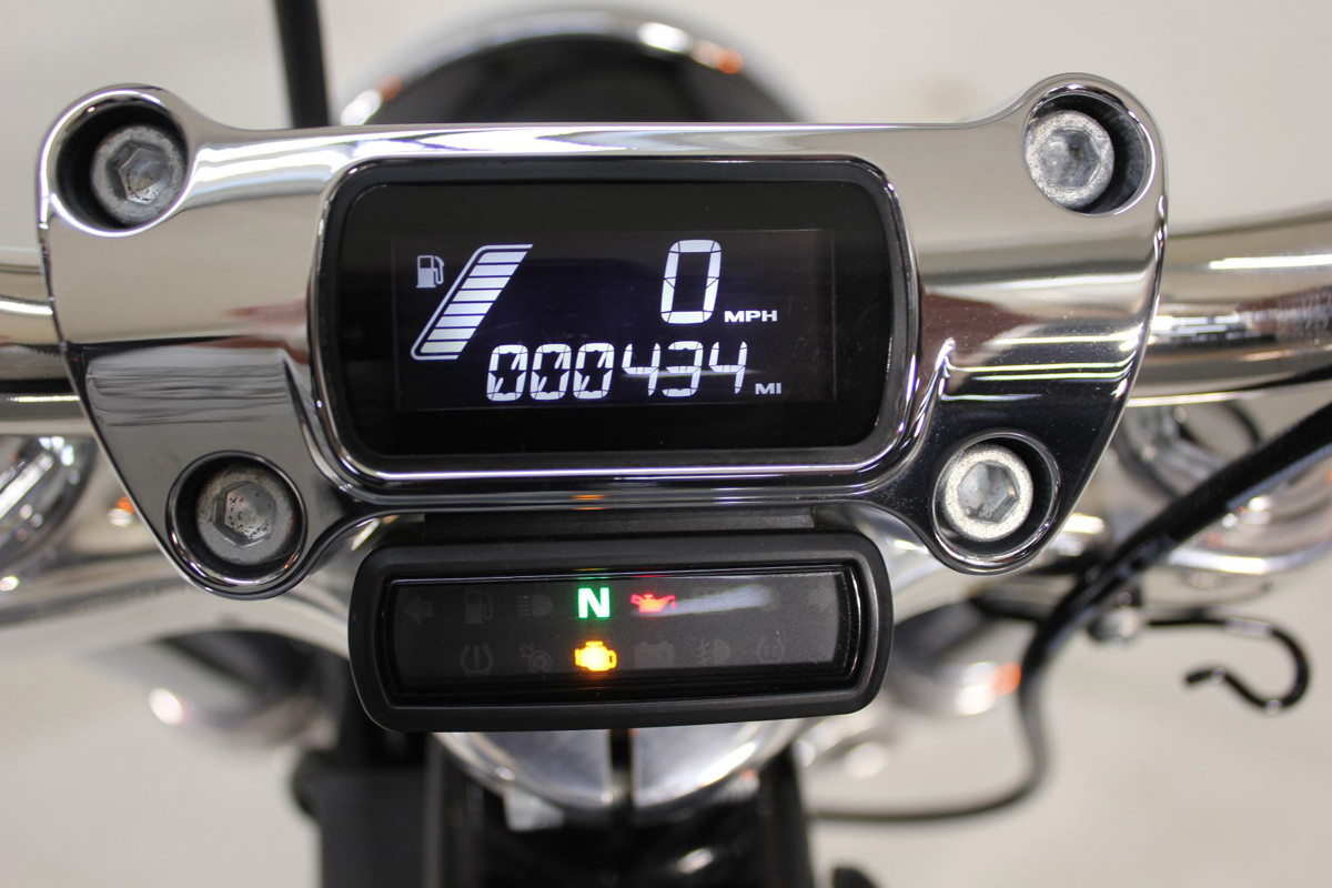 Softail® Standard