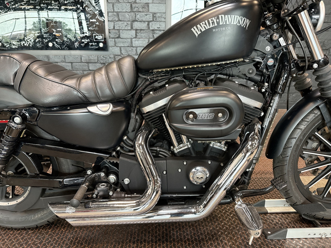 Sportster® Iron 883®