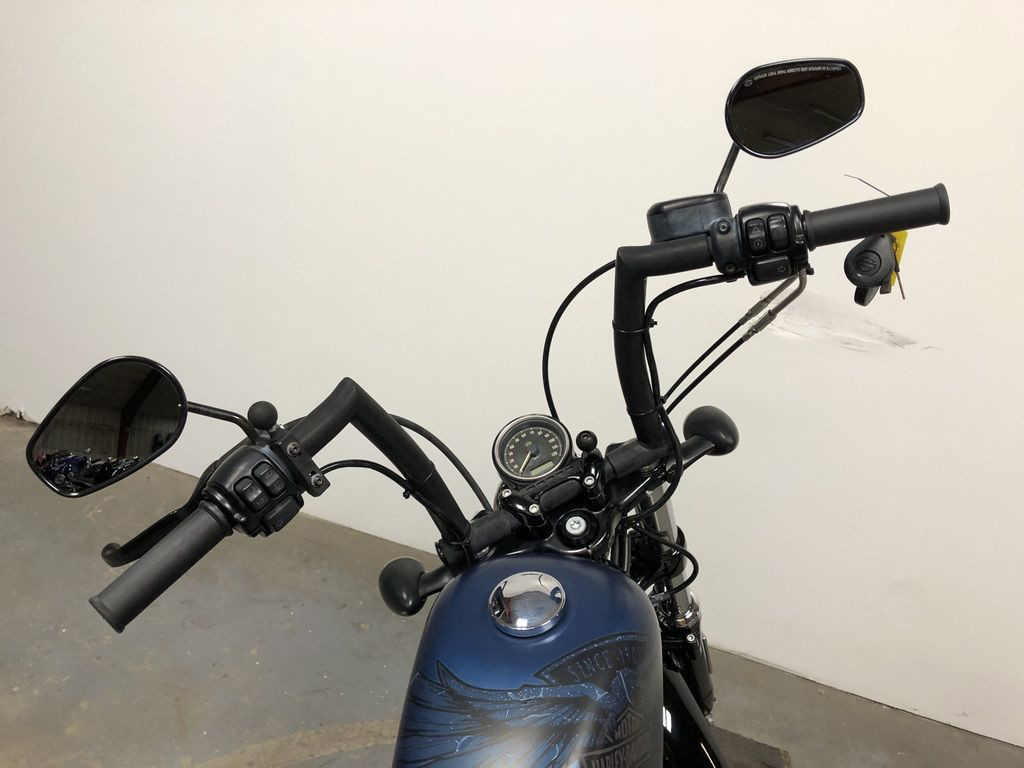 Sportster® Forty-Eight® 115th Anniversary