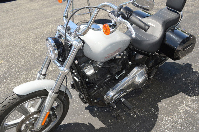 Softail® Standard