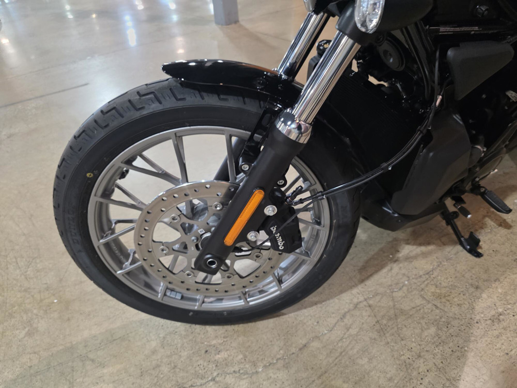 Nightster Special