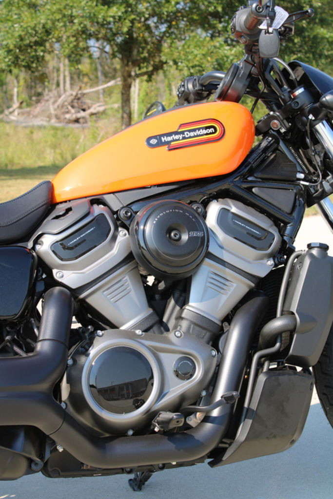 Nightster Special