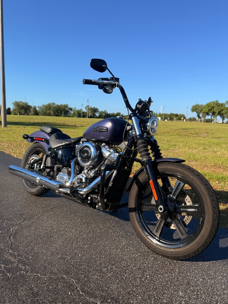 Street Bob®