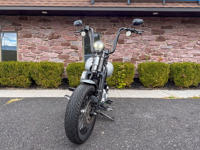 Softail® Cross Bones®