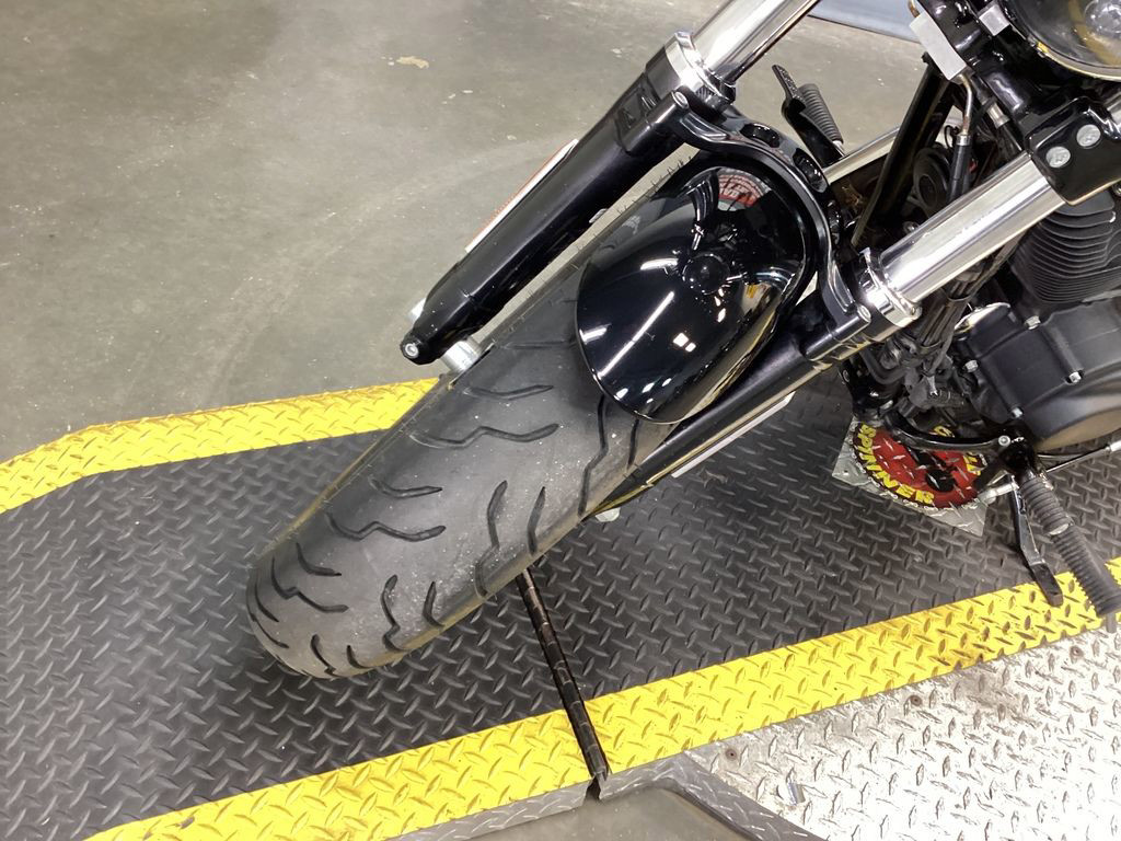 Sportster® Forty-Eight® 115th Anniversary