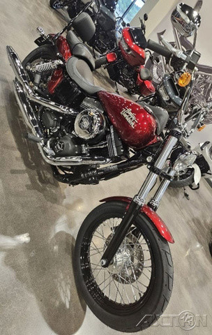 Dyna® Street Bob®