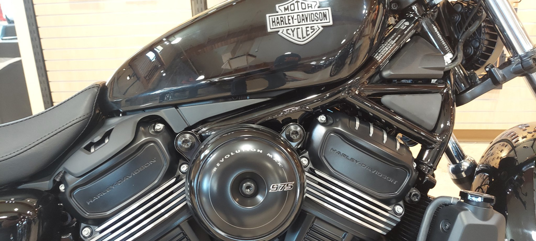 Nightster