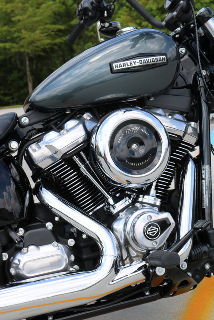 Street Bob®