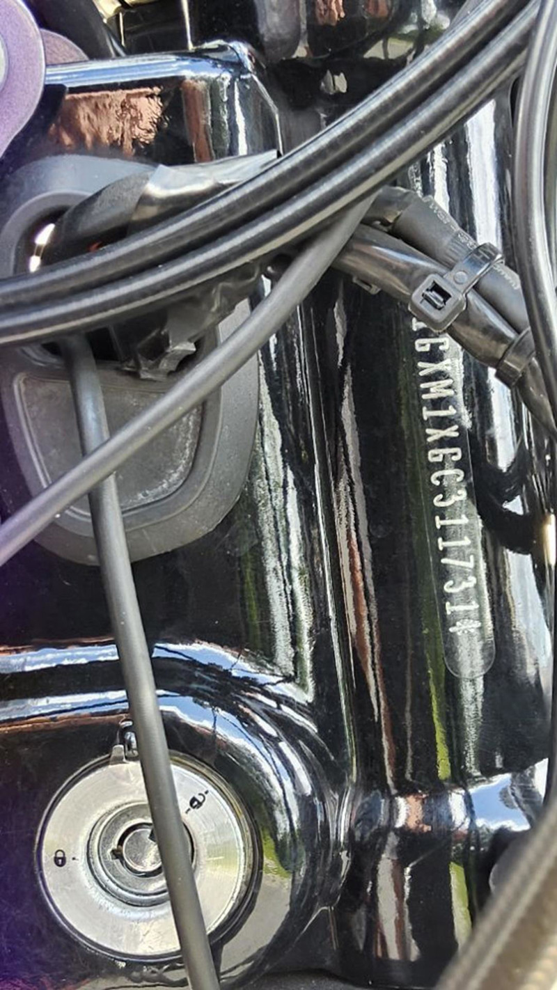 Dyna® Street Bob®