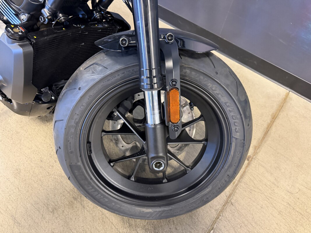 Sportster® S