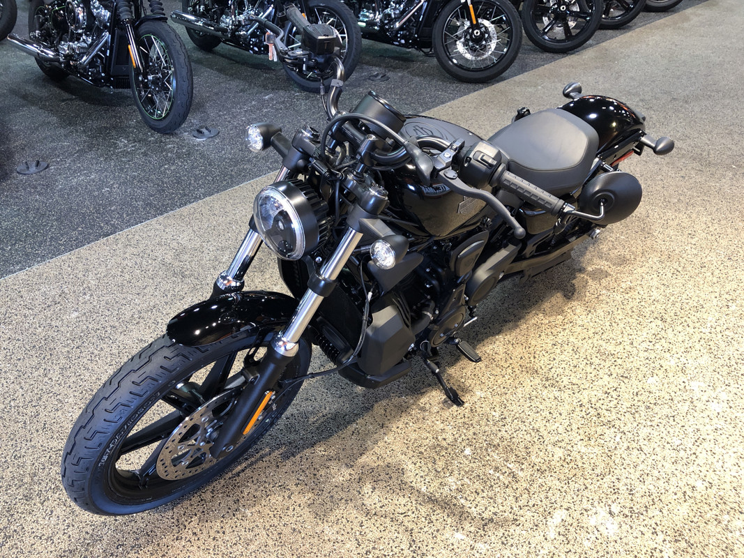 Nightster