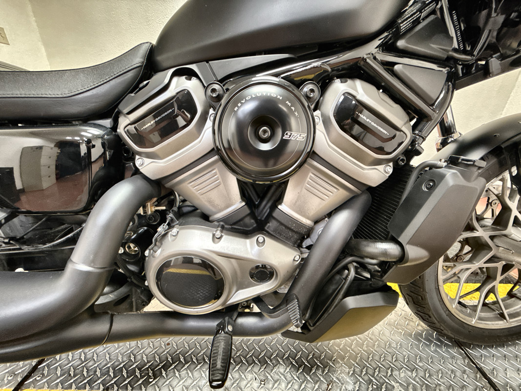 Nightster Special