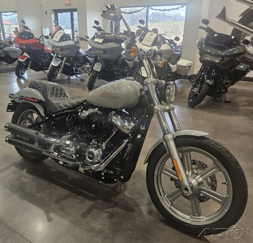 Softail® Standard