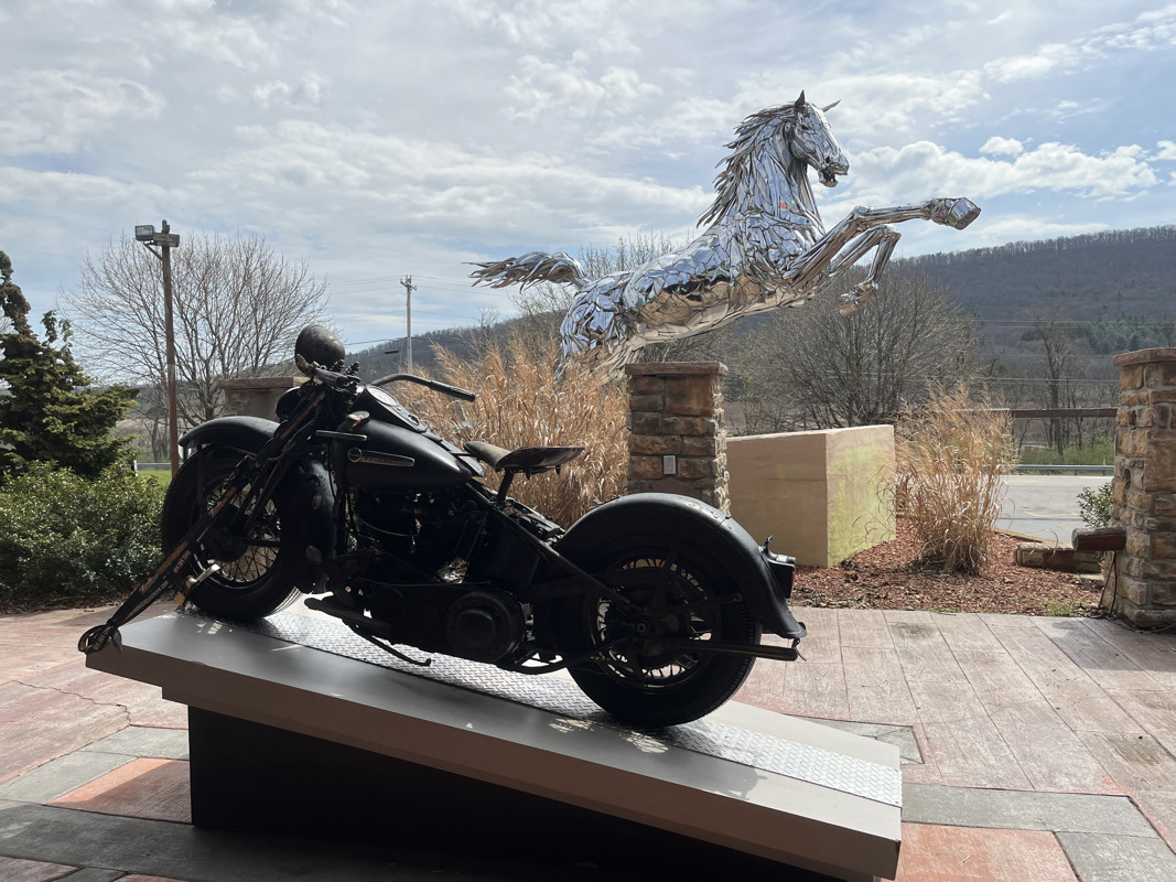 Special Sport Solo Knucklehead