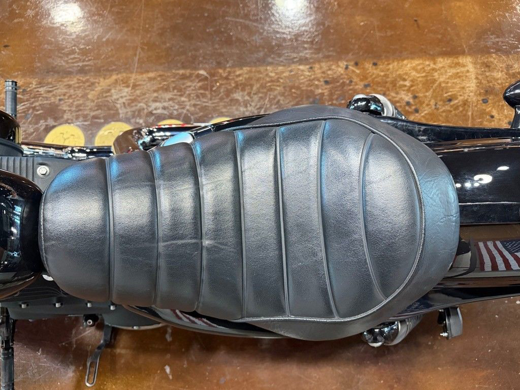 Iron 883®