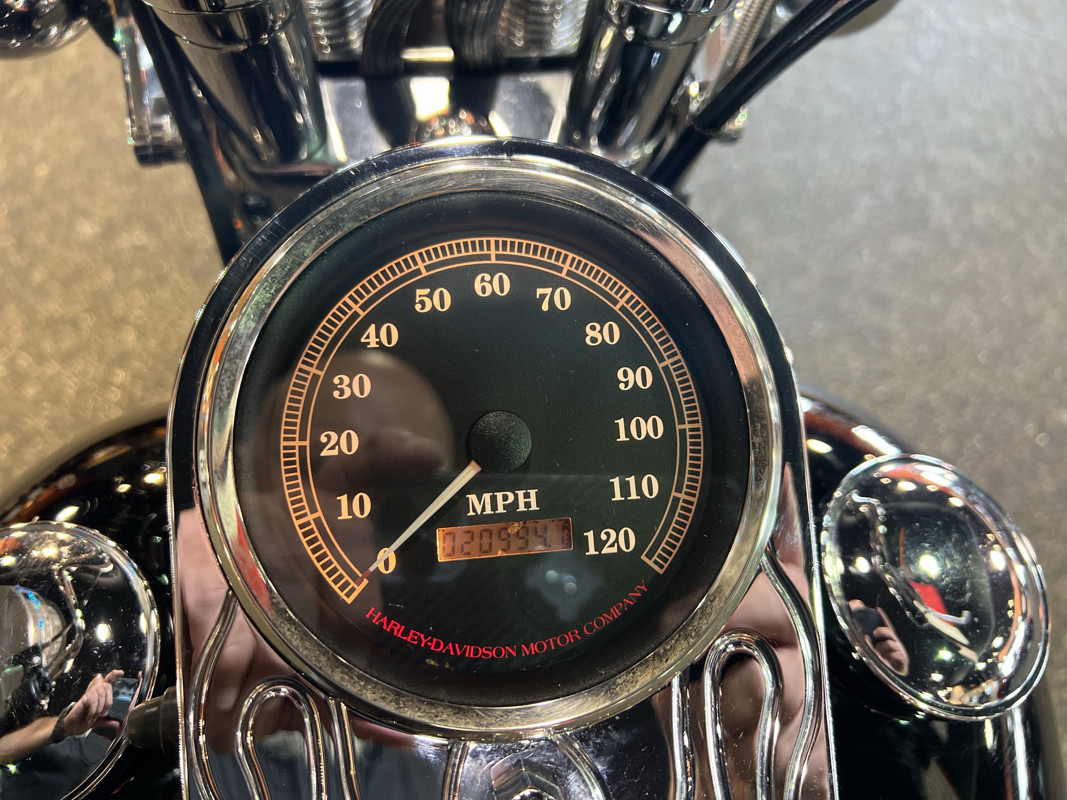 Springer® Softail®