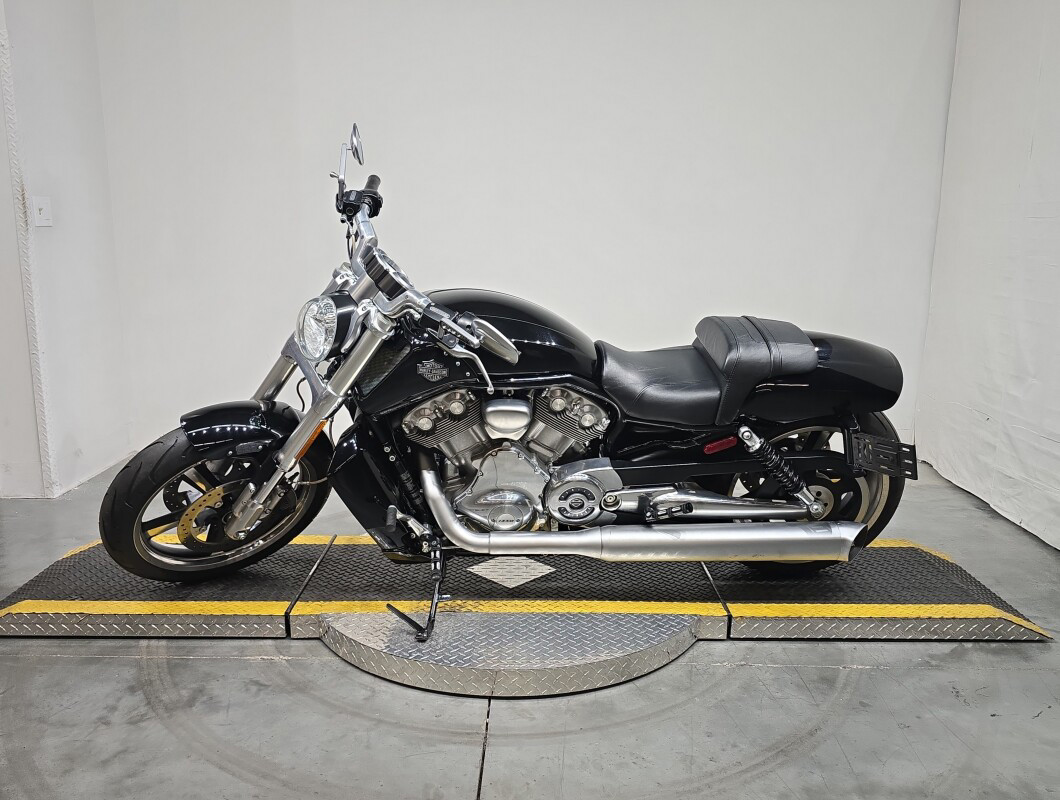 V-Rod® Muscle