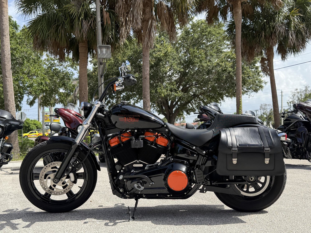 Softail® Standard