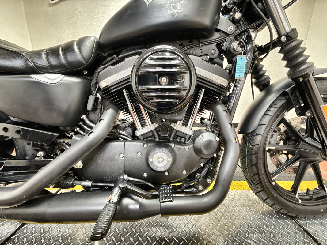 Sportster® Iron 883®