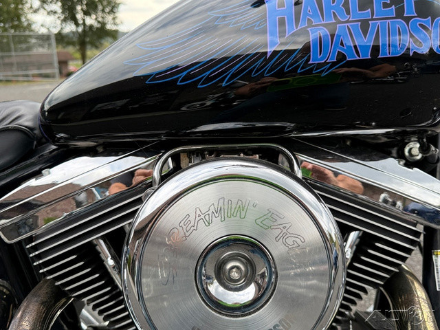 Softail® Custom