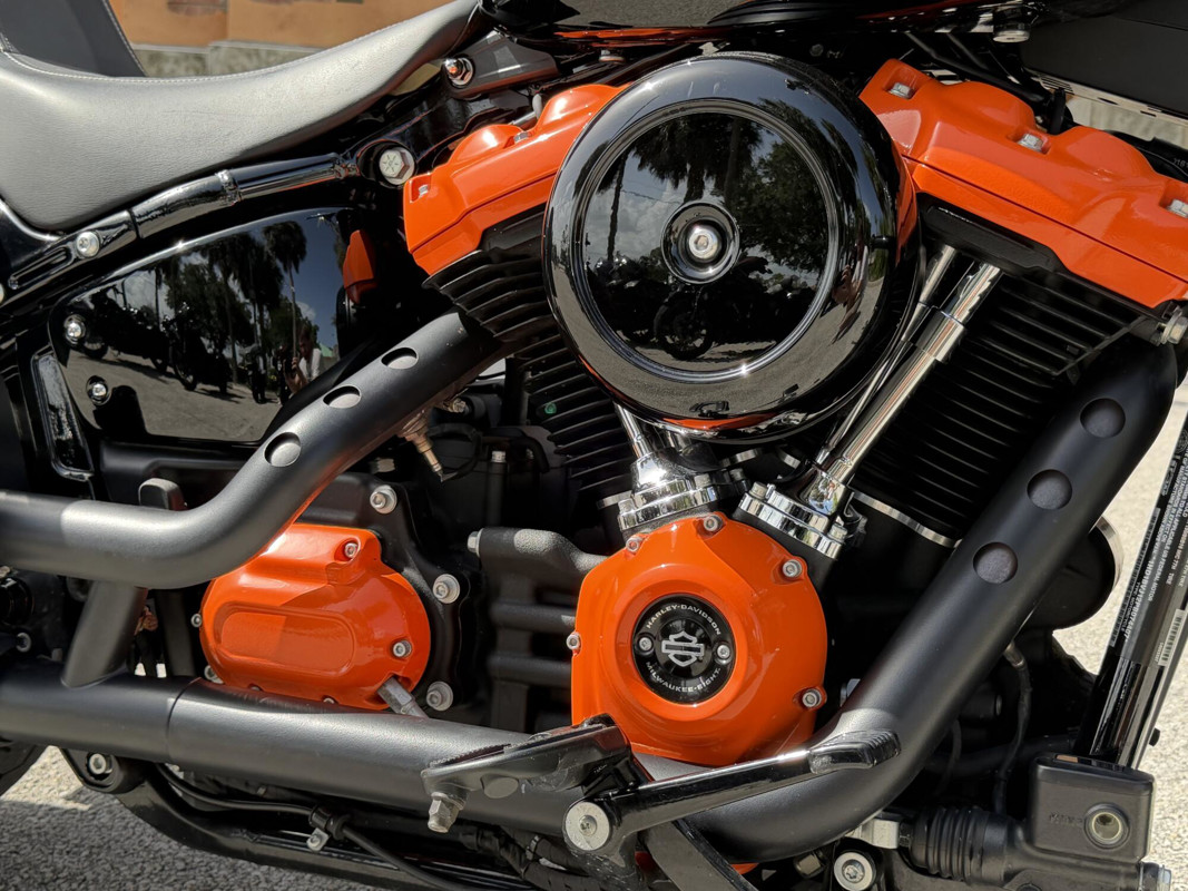 Softail® Standard
