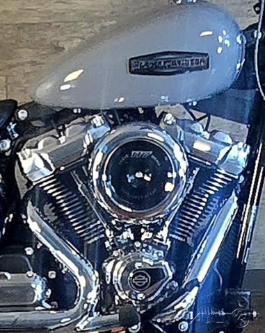 Street Bob®