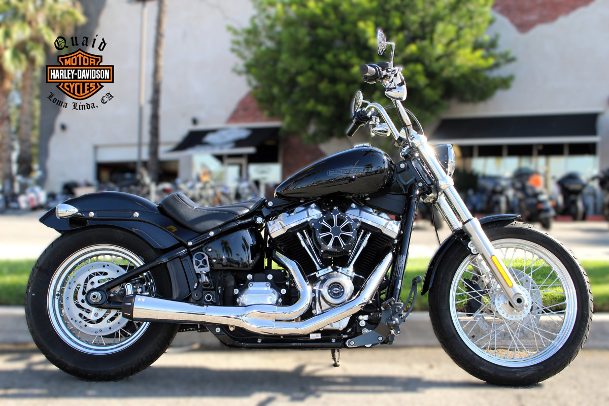 Softail® Standard