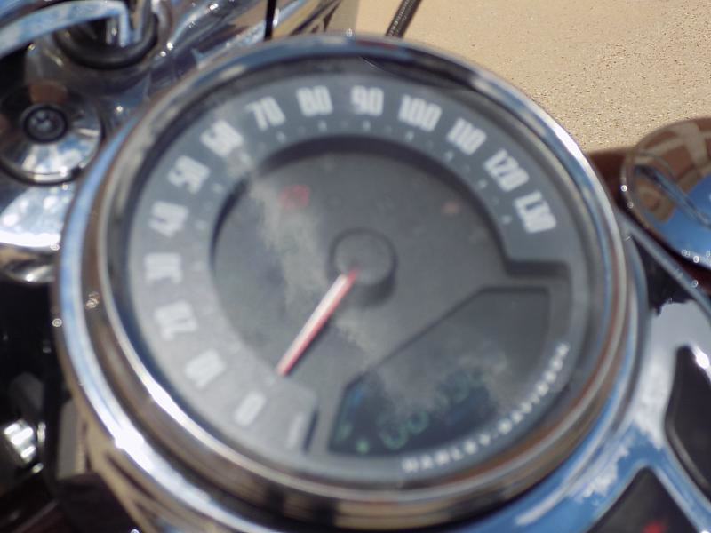 Softail® Deluxe