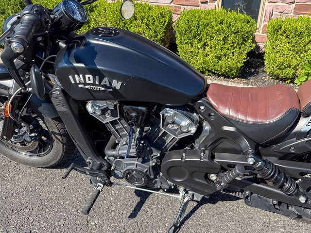 Scout Bobber