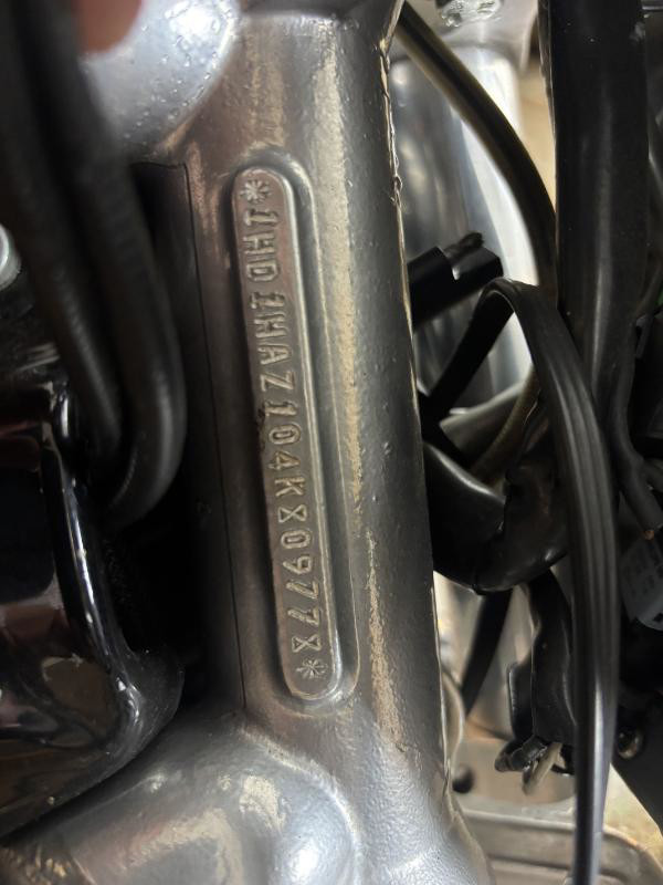 V-Rod® - Silver/Gray Frame