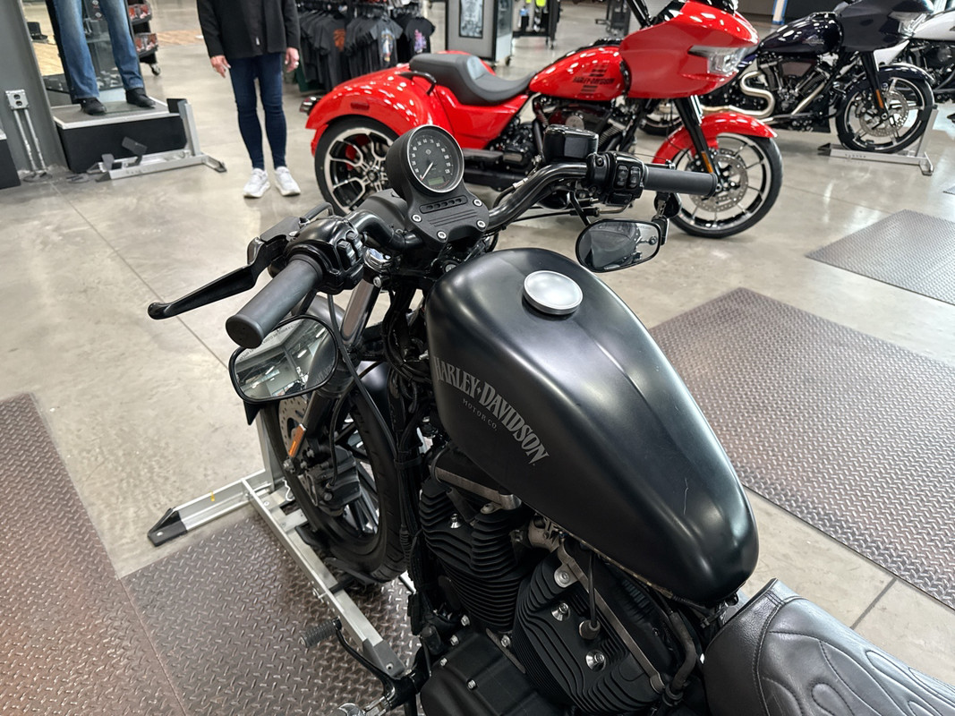 Sportster® Iron 883®
