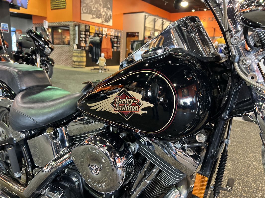 Springer® Softail®
