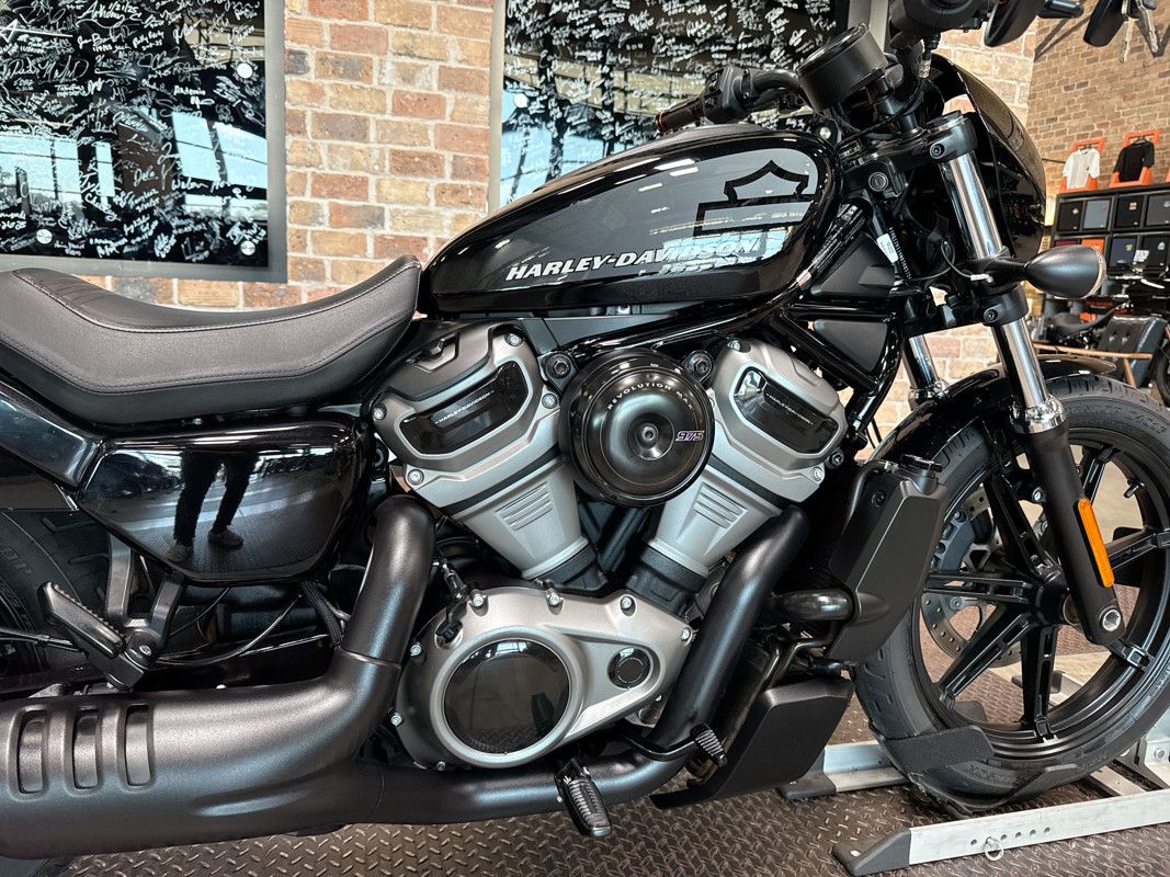 Nightster