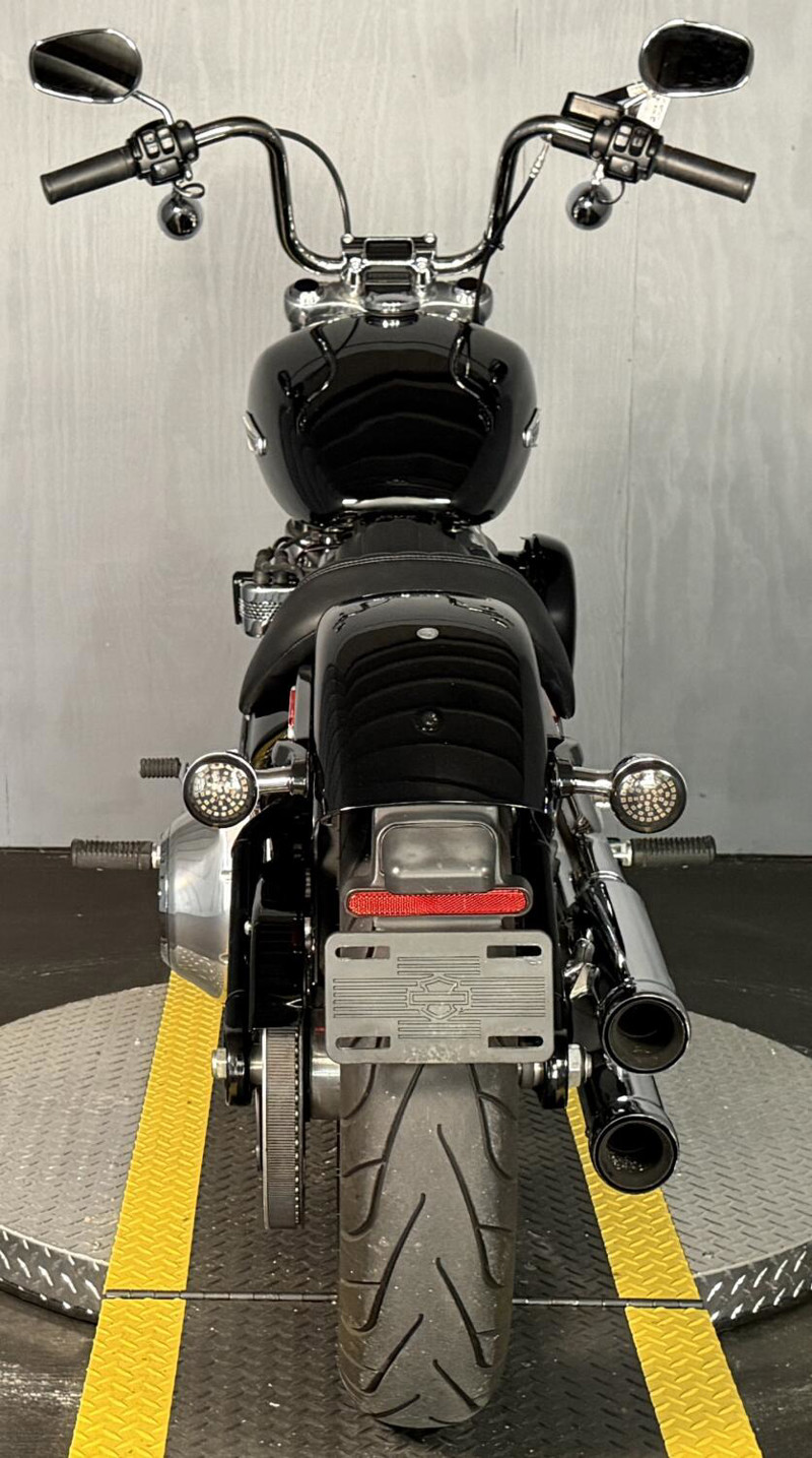 Softail® Standard