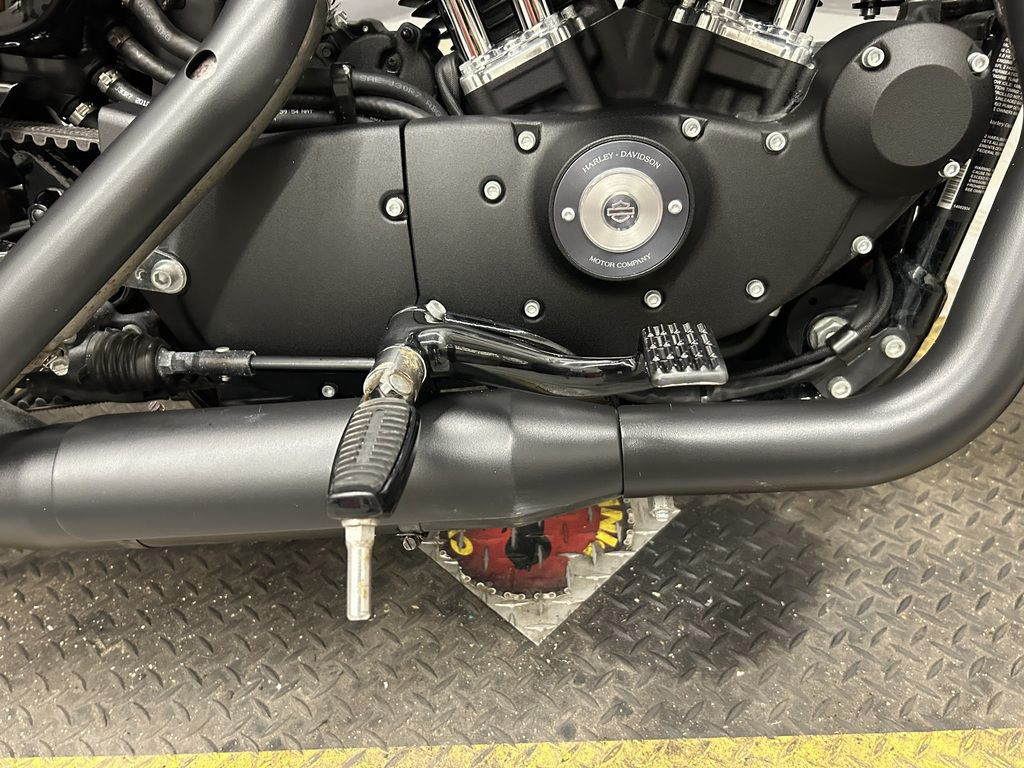 Iron 883®