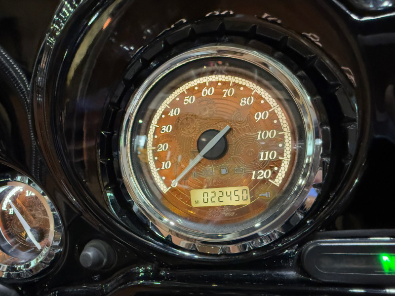 Electra Glide® Ultra® Limited 110th Anniversary