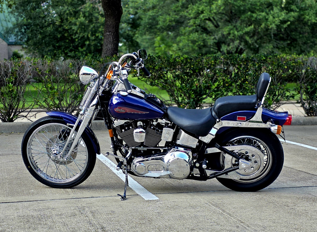 Springer® Softail®