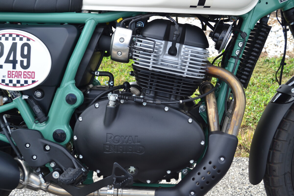 Bear 650
