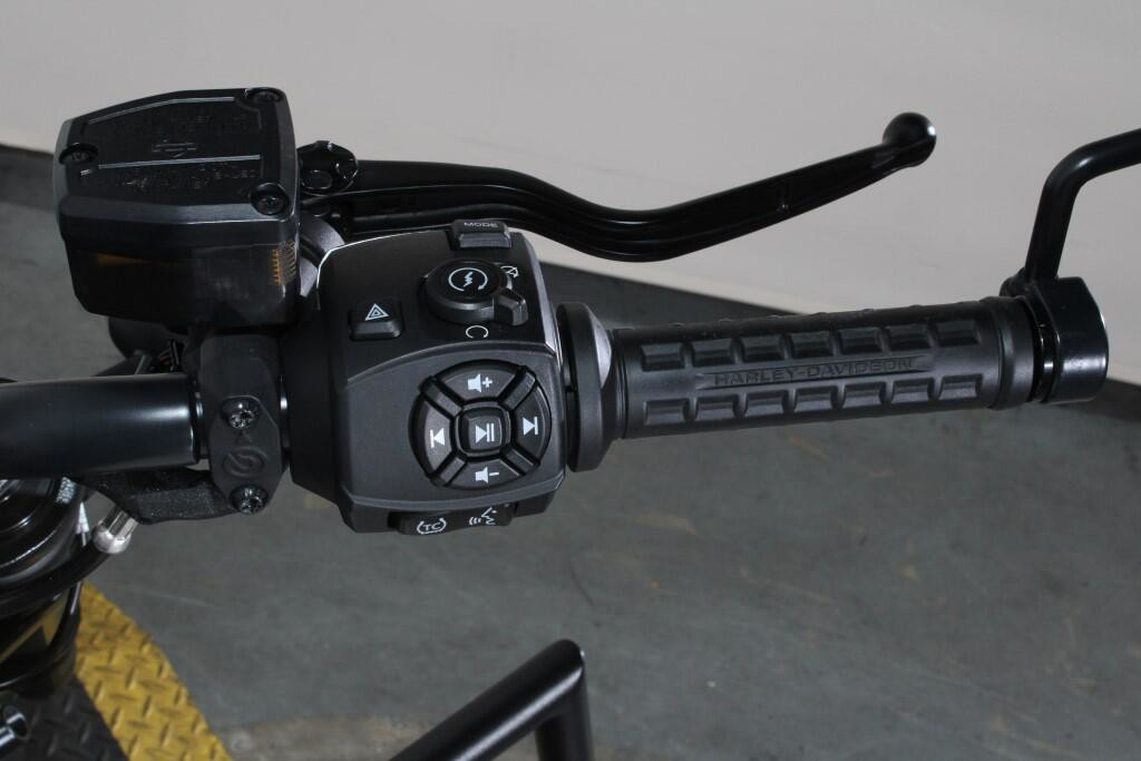 Sportster® S